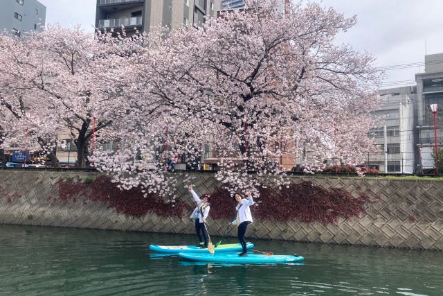 【広島市・SUP】のんびりと水上散歩！瀬戸内・SUP体験