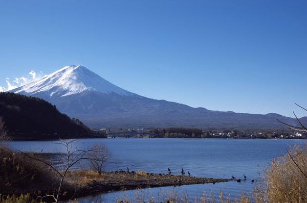 【カヌーガイド】スキル不要♪ガイドが河口湖の魅力を伝えます！