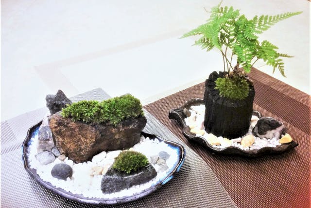 新宿御苑駅より徒歩3分。カルチャースクールいろはで、苔玉作り体験に挑戦してみませんか。