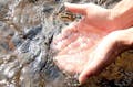 那須高原を源流とする那珂川の水は、美しく澄みきっています。