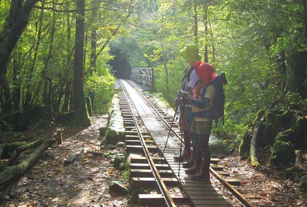 屋久島ガイド 山好きへようこそ！屋久島の自然の美しさ・山歩きの楽しさをお伝えします！