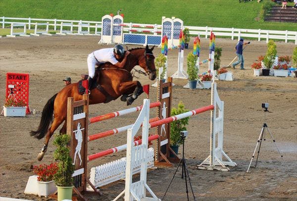 座間近代乗馬クラブへようこそ。数々の競技会に出場するベテランも在籍しています。