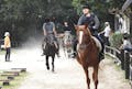時にはスピード感あふれる駆け足も！他の仲間たちと一緒に、馬場をたくましく駆け回ります。