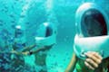 朝の8時出発のコースがおすすめ。より一層美しい海中世界をお楽しみいただけますよ。