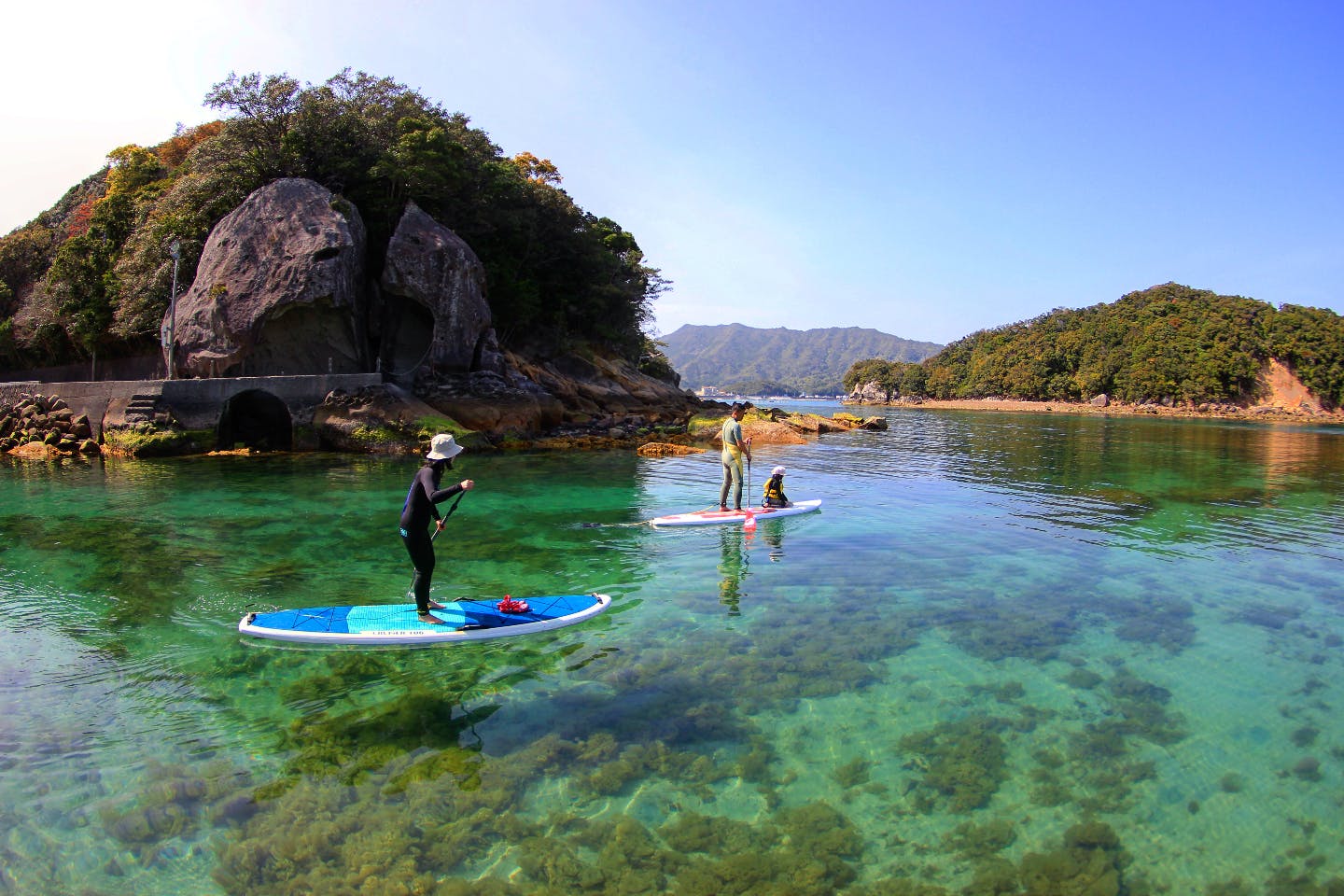 【徳島県海部郡・SUP】のんびりと海のお散歩。SUPクルーズベーシックプラン