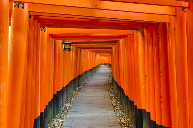 【京都・伏見区・ガイドツアー】伏見稲荷の真実と不思議を知ろう！壱のお話「稲荷入門編」