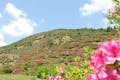 散策する垂水市大野地区は、開拓100周年。戸数が約50戸ののどかな山村です。