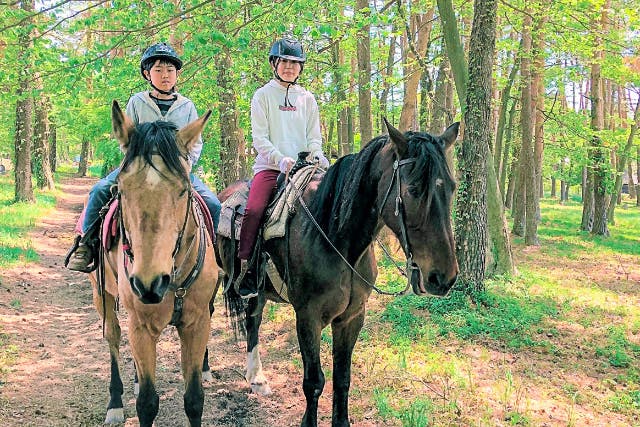 【山梨・ホーストレッキング・乗馬】小・中学生限定プラン！しっかり馬場で練習してから森林乗馬へ！（レッスン20分・外乗15分）