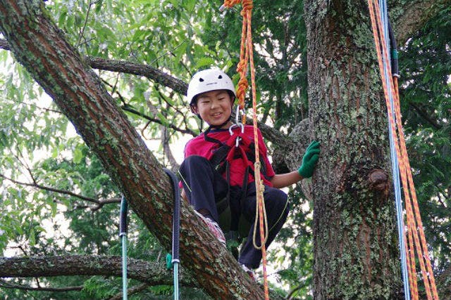 【山口・木登り】3歳から参加OK！ツリークライミングで木と友だちになろう