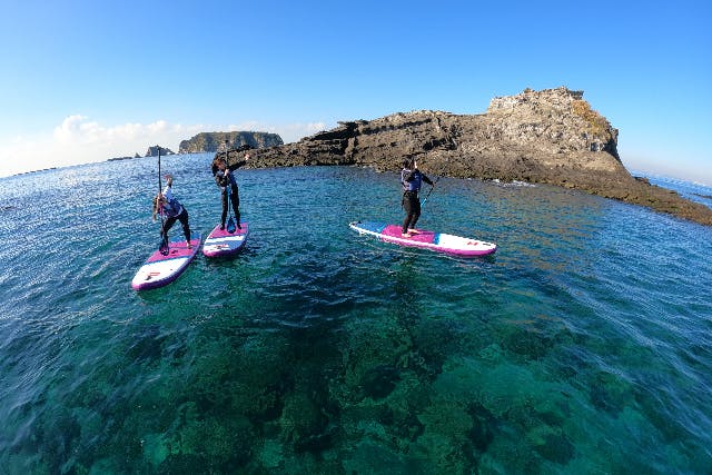 【千葉・南房総・SUP】好アクセス！魚がいっぱい、綺麗な海！初心者SUP体験！