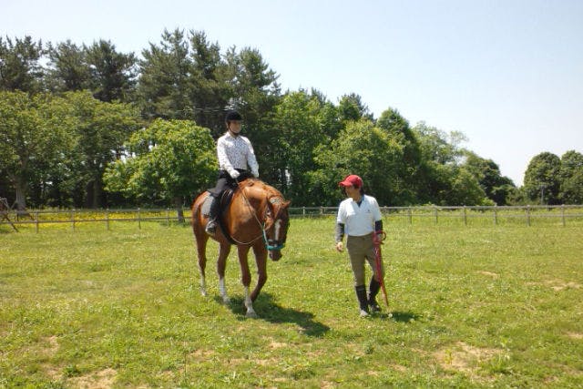 【青森・下北半島・むつ・金谷沢・乗馬体験】30分乗馬体験＆馬とふれあい（所要1時間）