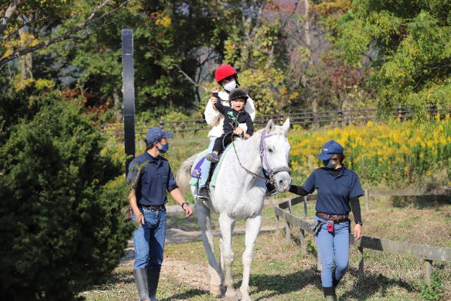 【鳥取・大山町・乗馬】スタッフが馬を引いてくれるから安心♪「ひき馬コース」