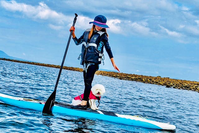 【熊本・天草・SUP・カヤック】天草の海で愛犬と一緒に海上散歩！
