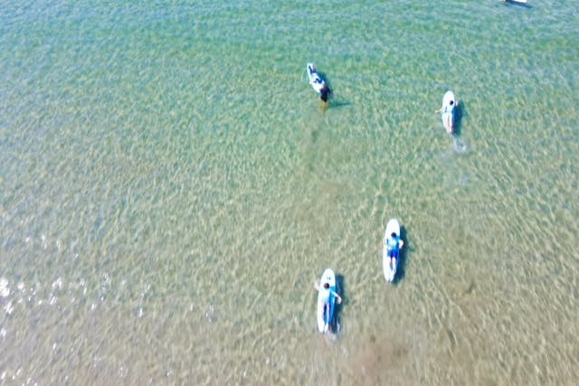 ＜3名様グループスペシャル限定特典＞【大阪・和歌山県磯ノ浦Beach・サーフィン体験】波に乗る楽しさを実感！初めてのサーフィン半日体験