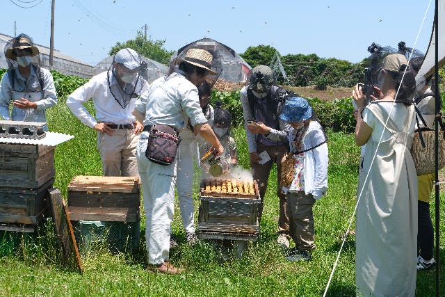 【東京・西多摩・養蜂体験】本格的な養蜂家のお仕事を覗いてみよう！養蜂体験＆はちみつの味比べ
