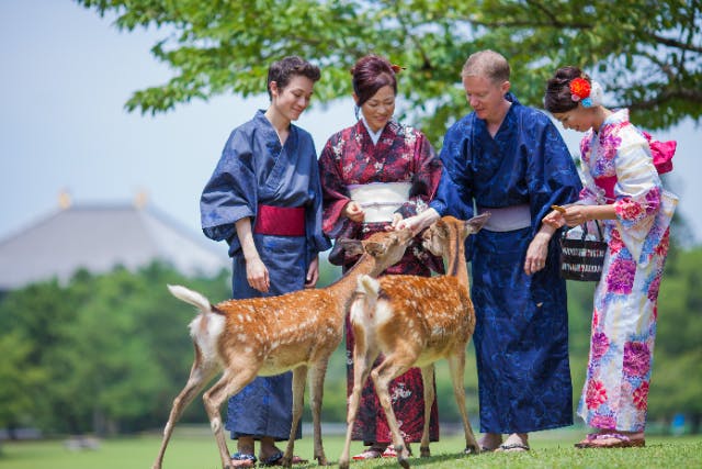 【奈良・着物レンタル】着物で奈良観光できる、着物レンタル&着付けプラン！近鉄奈良駅からスグ！