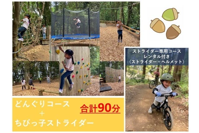 【福岡・久山・フォレストアドベンチャー】パパ・ママ必見！どんぐりコース&ちびっ子ストライダー（合計90分）
