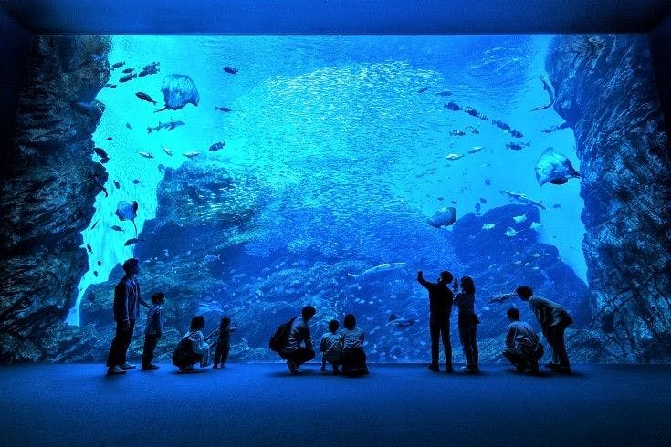 【2025年】仙台うみの杜水族館　チケット売場に並ばずに入館できる WEB入館券