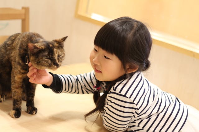 【ヒヨコおやつ付(200円相当)】MoffanimalworldBIGHOPガーデンモール印西利用券