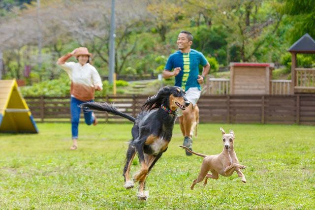 【期間限定】わんダフルネイチャーヴィレッジ キャンペーンWEBチケット（入園料）