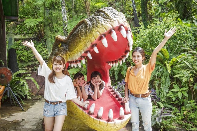 【最大17%割引】御菓子御殿 名護店 やんばる亜熱帯の森DINO恐竜PARK 入園クーポン