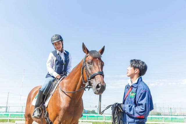 乗馬クラブ クレイン大阪乗馬体験1回コース 平日/土日祝日価格(諸費用全て込み) ※要予約