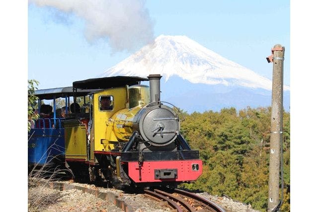 修善寺虹の郷　入園券＋ロムニー鉄道（乗車券・片道1回分）