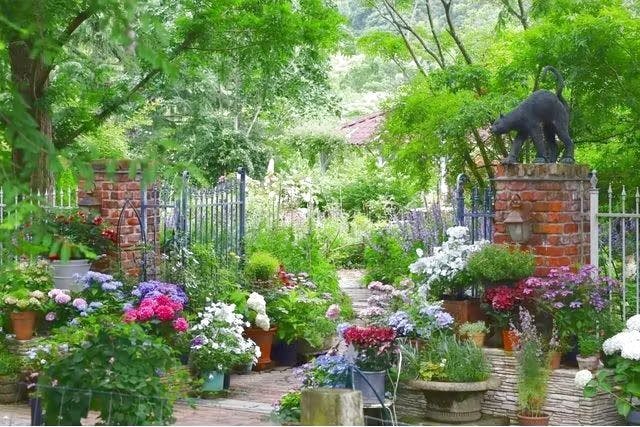 EnglishGardenローザンベリー多和田　前売り入園チケット