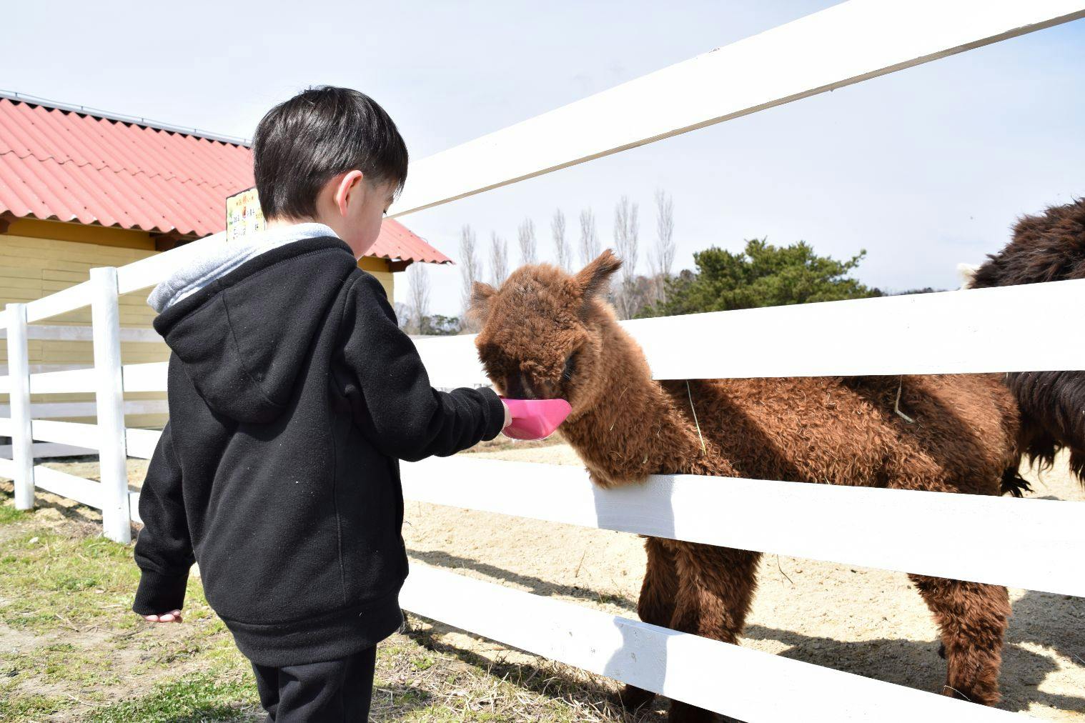 【10％割引】愛犬と一緒に楽しめる！四季折々の花やアトラクション体験 ブルーメの丘 入園チケット