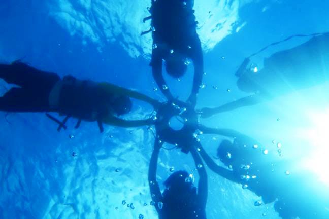 石垣島・西表島・竹富島のシュノーケリング その他