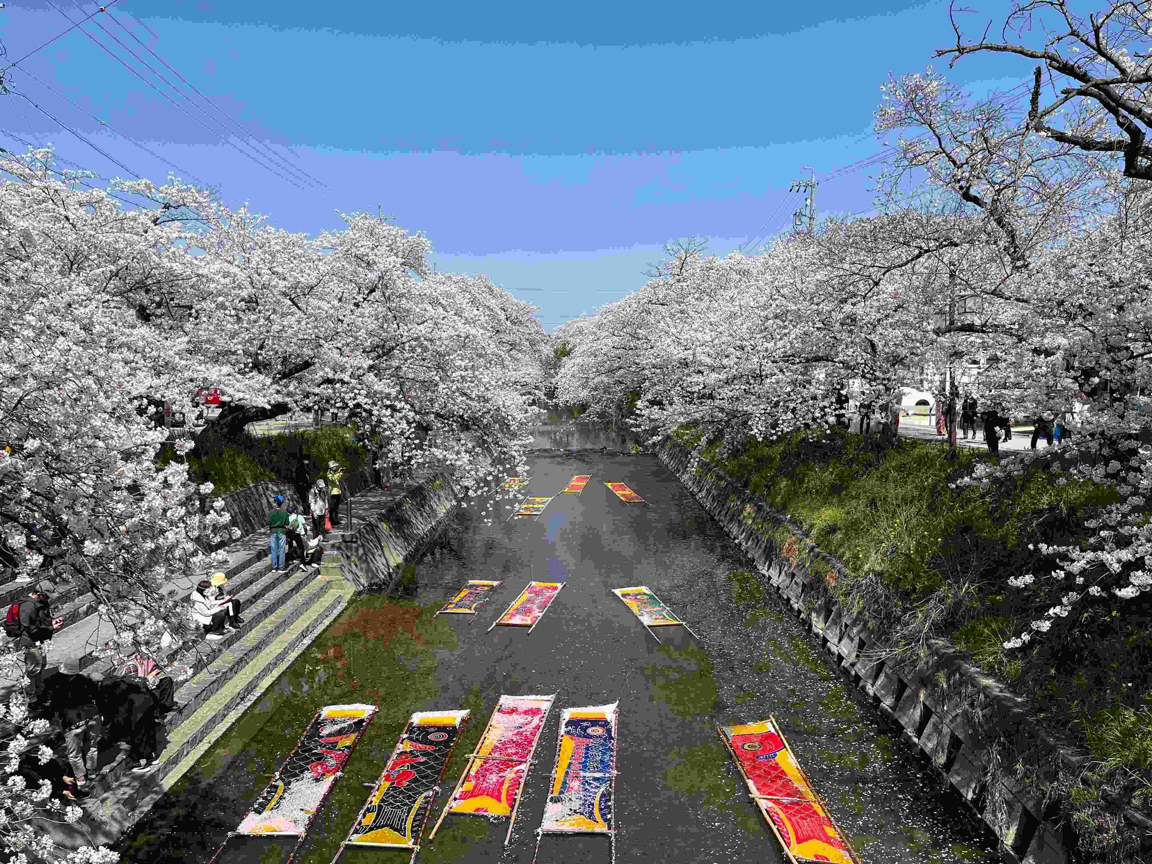 スポットの写真