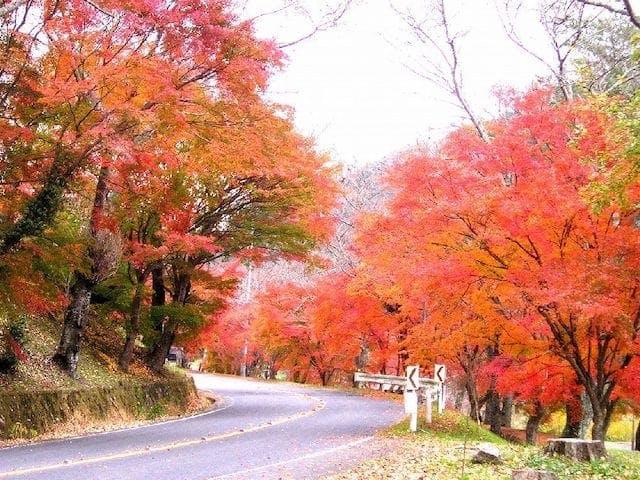 スポットの写真
