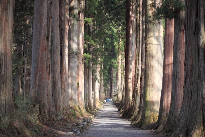 スポットの写真