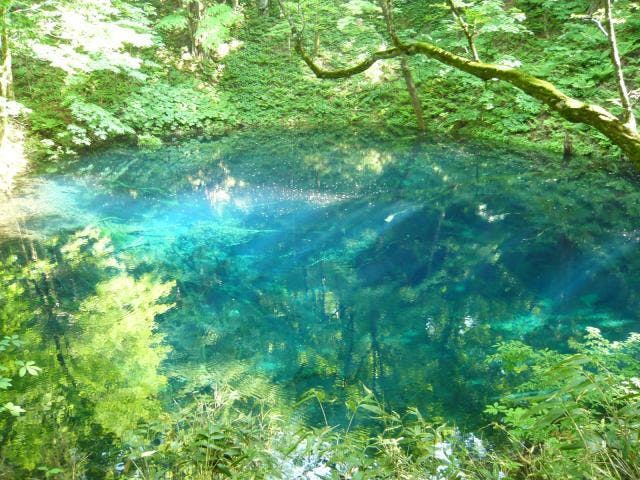 スポットの写真
