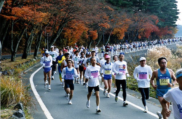 スポットの写真