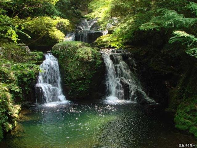 スポットの写真