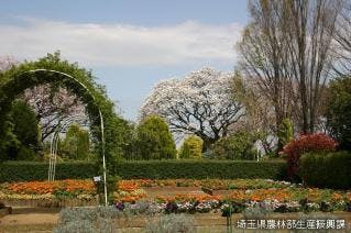 スポットの写真