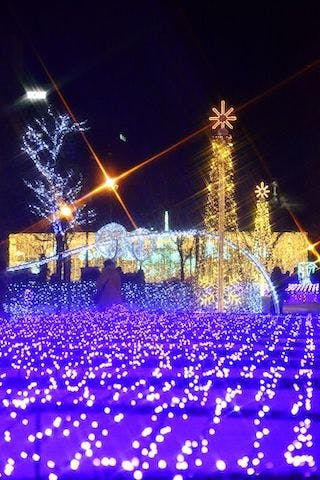 スポットの写真